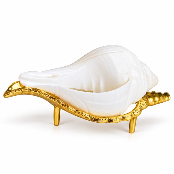 White Jal Shankh resting in its matching gold brass stand on white